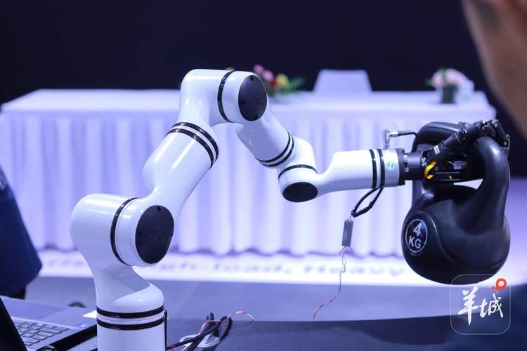 發布123款新產品，融資14.81億元 2025世界機器人大會展現行業強勁動能